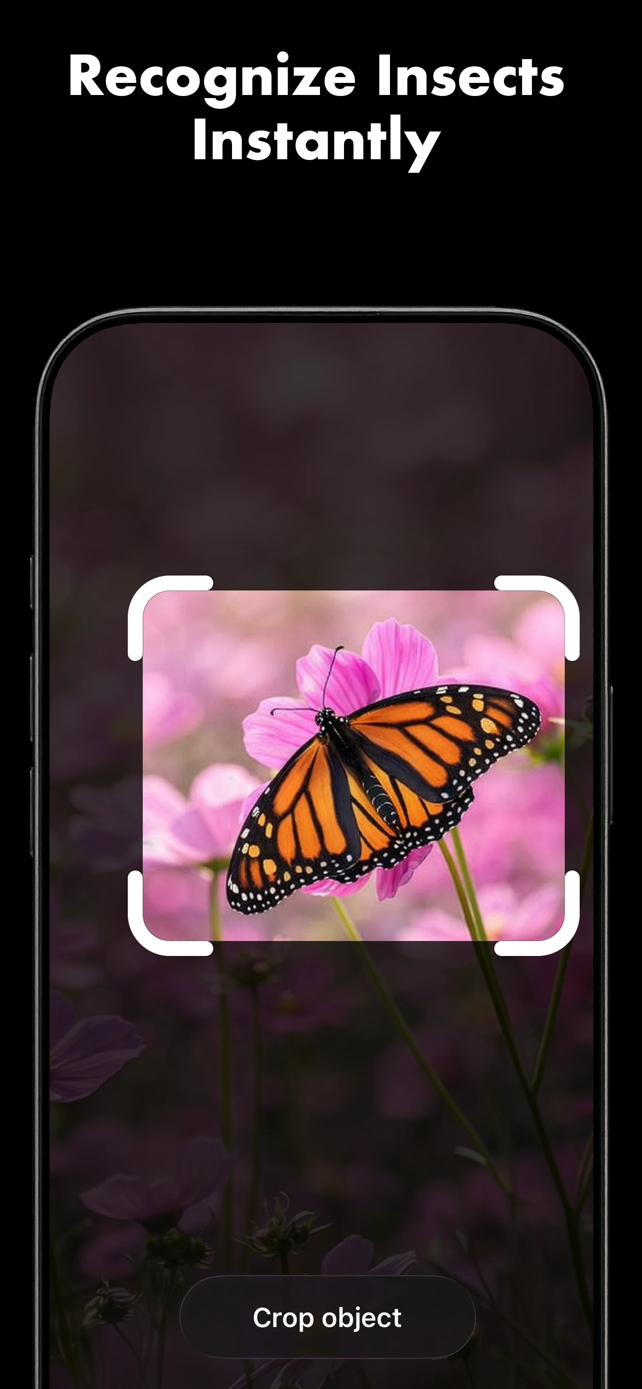 Butterfly Identifier: AI Scan screenshot