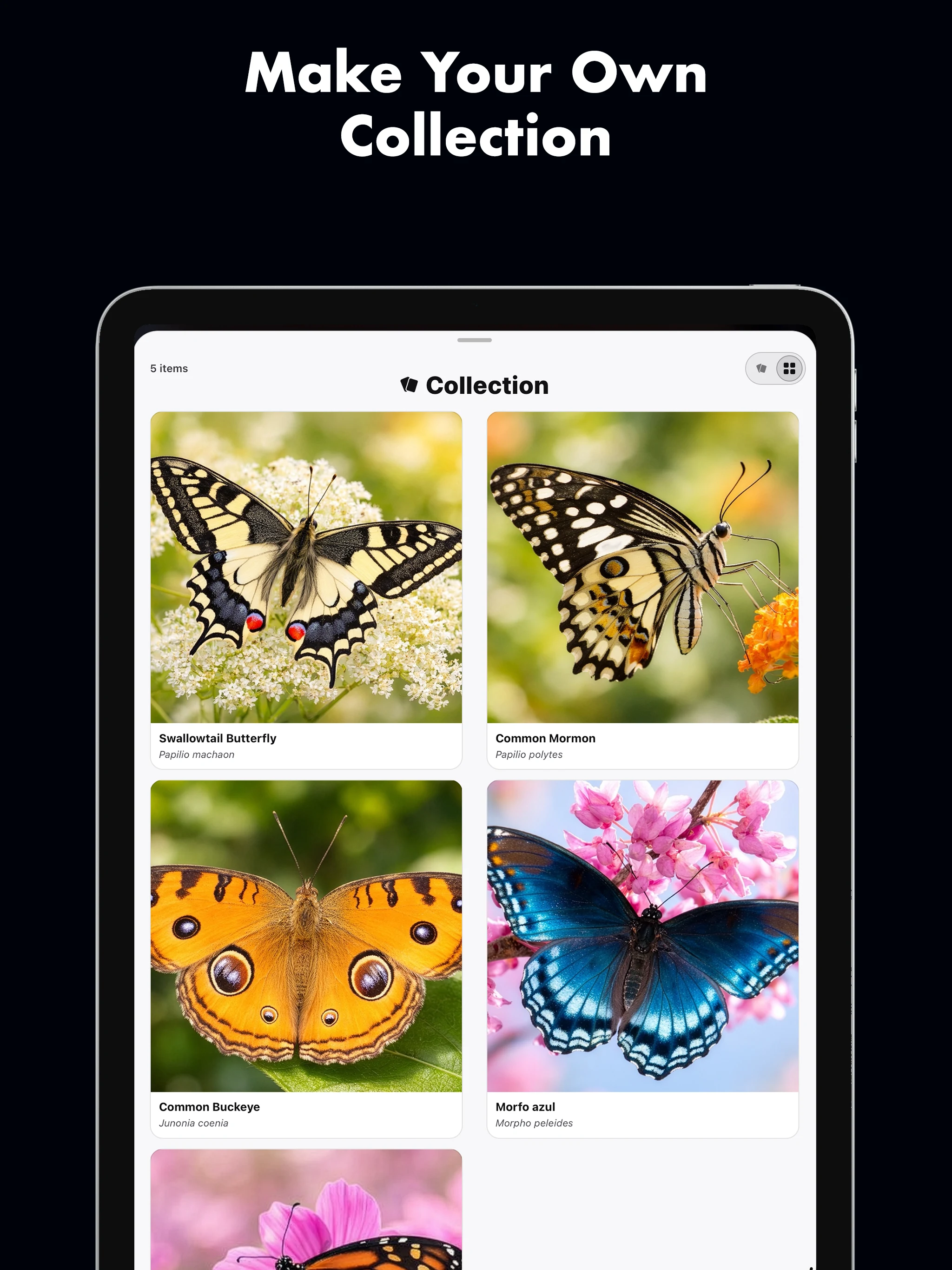 Butterfly Identifier: AI Scan screenshot