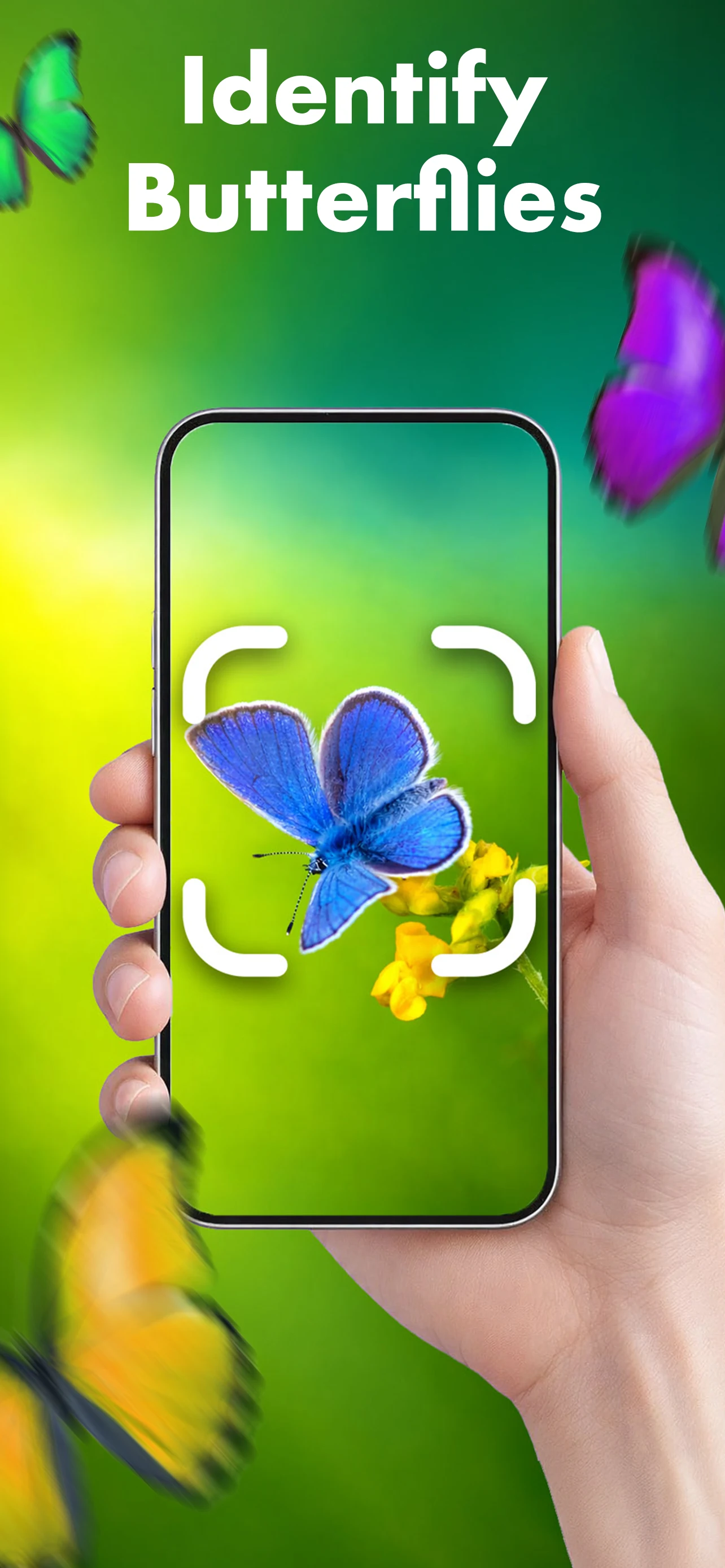 Butterfly Identifier: AI Scan screenshot