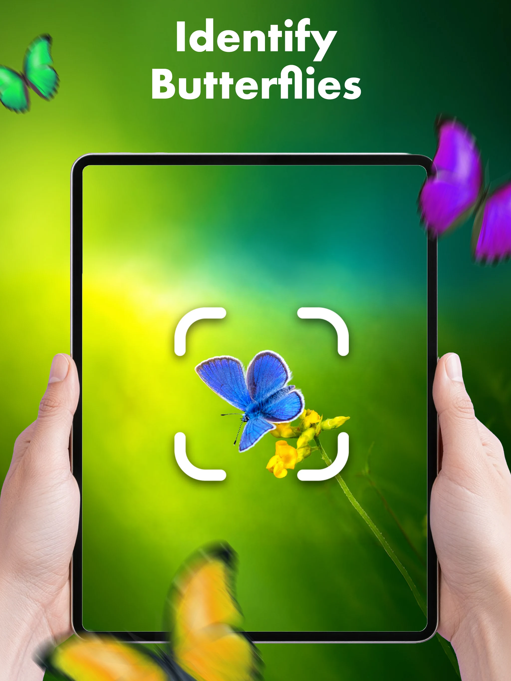 Butterfly Identifier: AI Scan screenshot