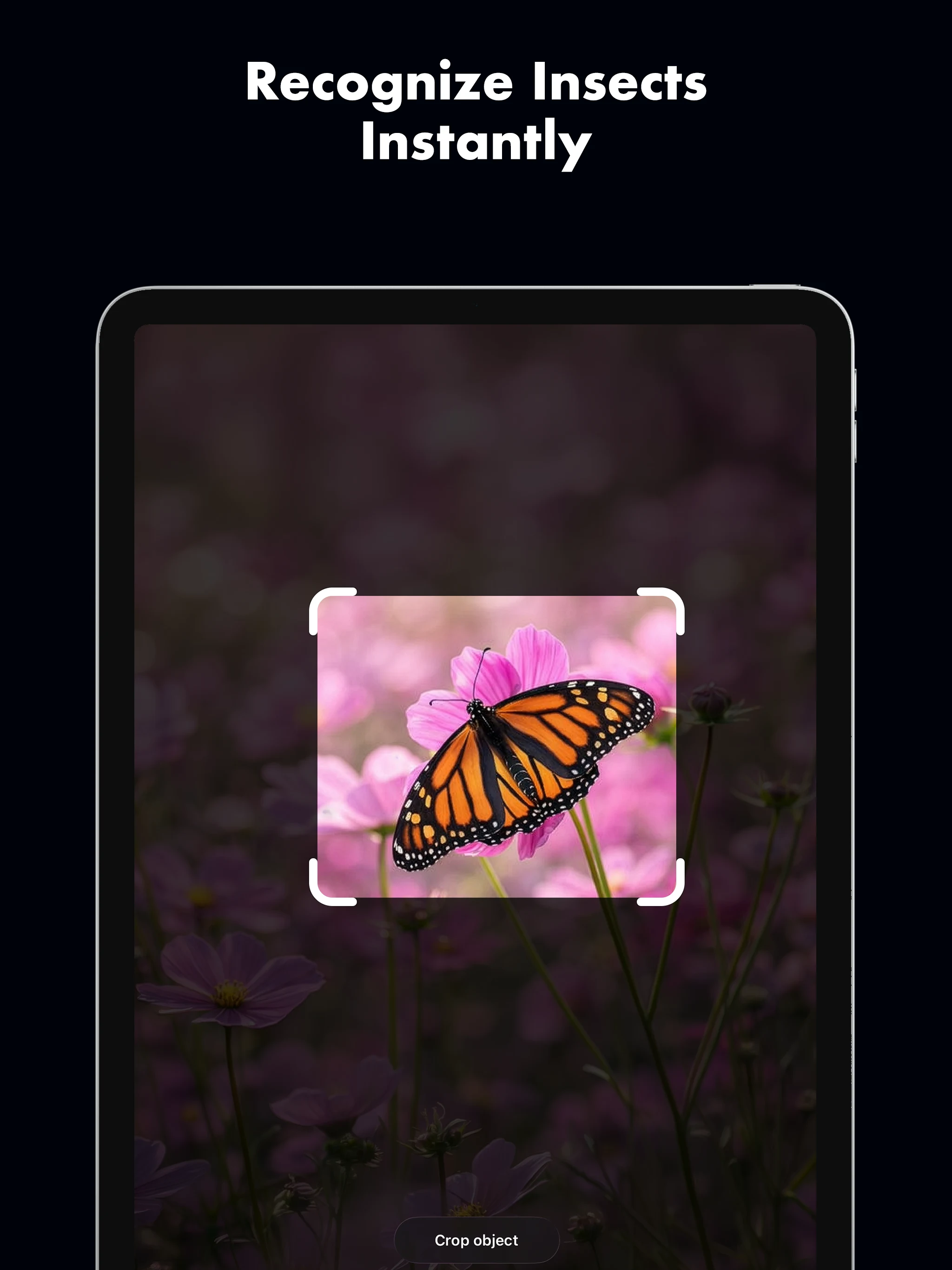 Butterfly Identifier: AI Scan screenshot